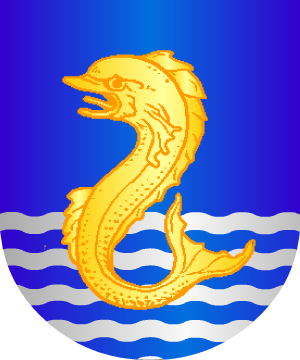 ESCUDO ALEATORIO