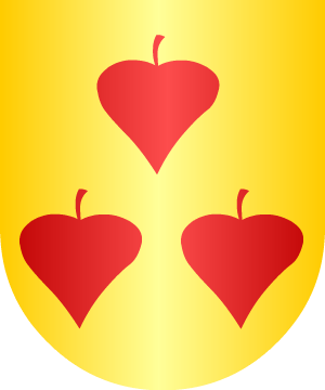 ESCUDO ALEATORIO