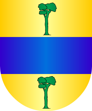 ESCUDO SIGUIENTE