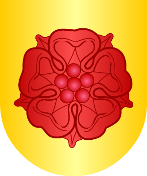 ESCUDO ALEATORIO