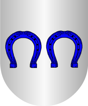 ESCUDO ALEATORIO