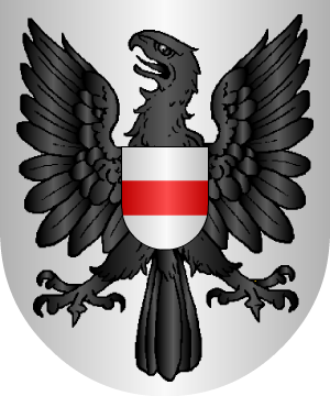ESCUDO ALEATORIO