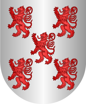 ESCUDO SIGUIENTE