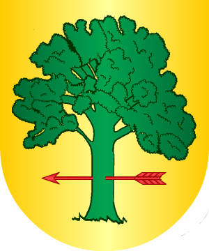 ESCUDO ALEATORIO