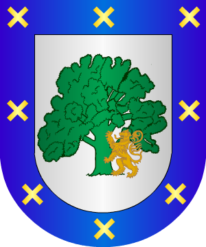 ESCUDO SIGUIENTE