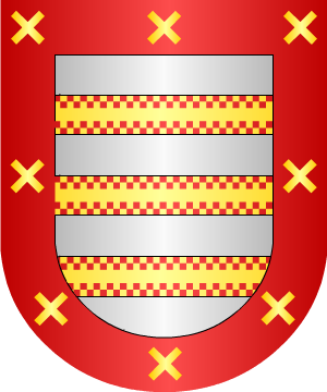 ESCUDO SIGUIENTE