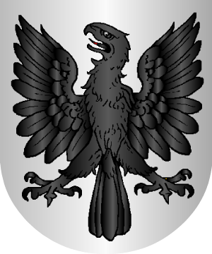 ESCUDO ALEATORIO