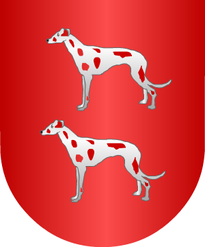 ESCUDO ALEATORIO