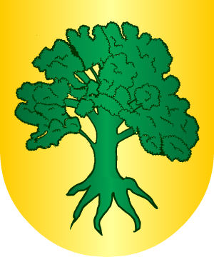 ESCUDO ALEATORIO