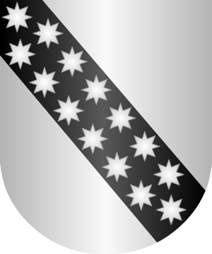 ESCUDO ALEATORIO