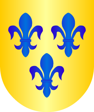 ESCUDO SIGUIENTE