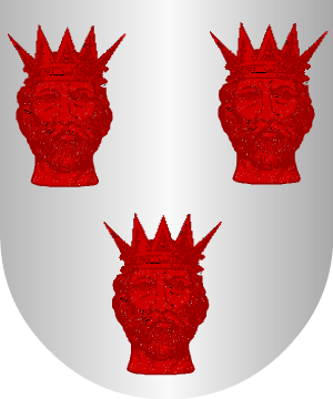 ESCUDO ALEATORIO