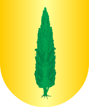 ESCUDO ALEATORIO
