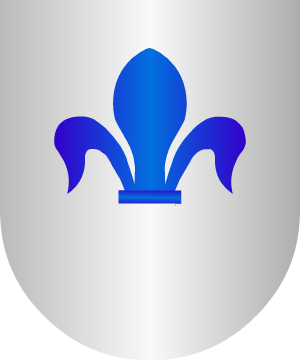 ESCUDO ALEATORIO