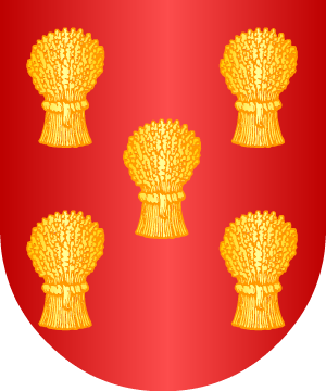 ESCUDO SIGUIENTE