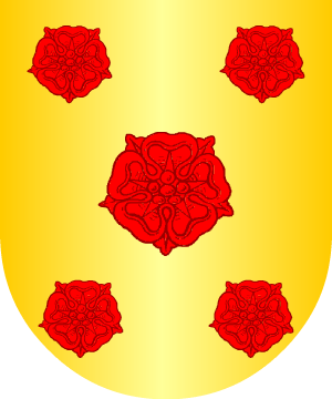 ESCUDO ALEATORIO